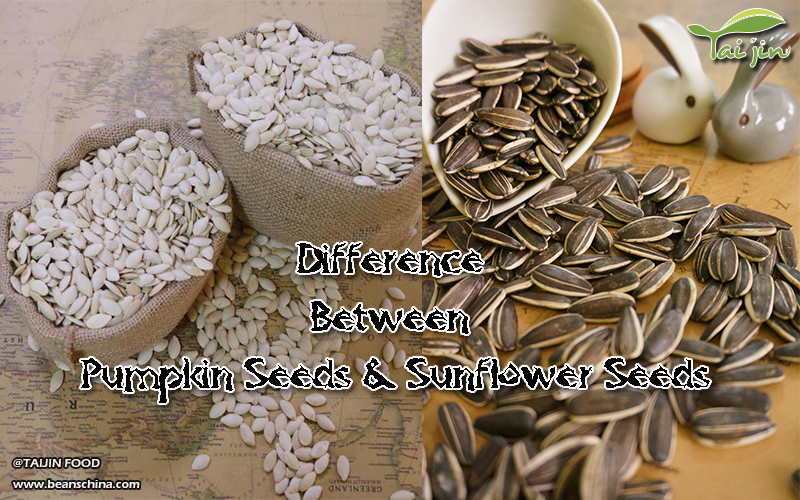 Difference Between Pumpkin Seeds and Sunflower Seeds